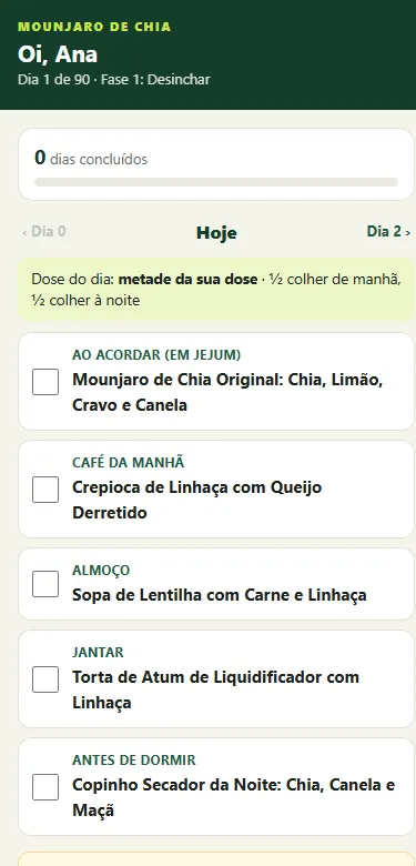 Tela do protocolo do dia